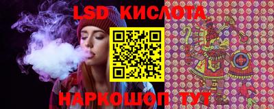 стафф Будённовск