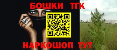 стафф Будённовск