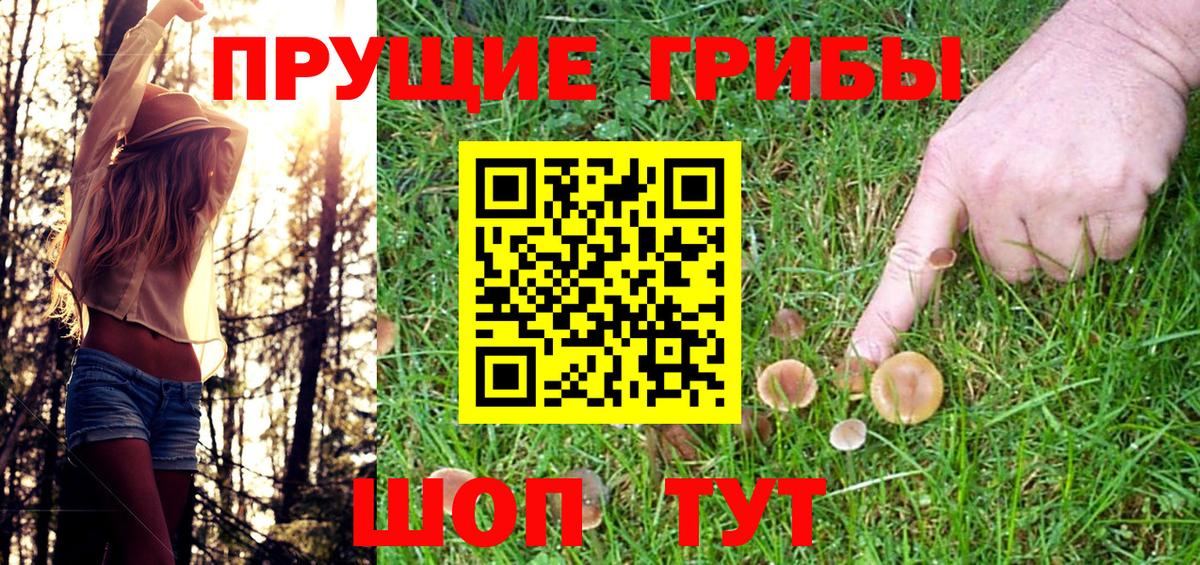 Рузаевка  Галлюциногенные грибы GOLDEN TEACHER  Псилоцибиновые грибы мухоморы  даркнет сайт  Вход с VPN 