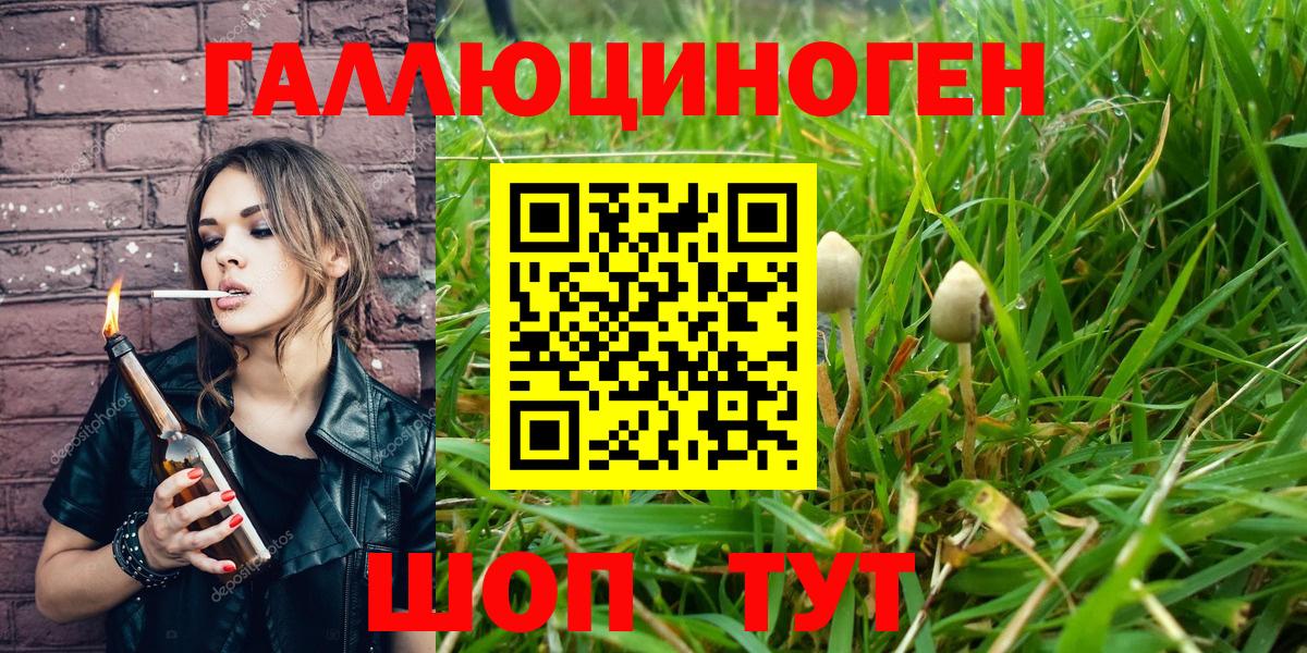 Галлюциногенные грибы ЛСД Рузаевка